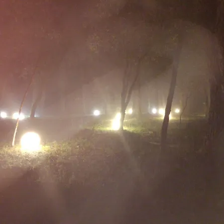 Rural Liceo * Gavilanes