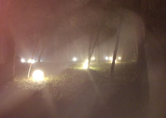 Rural Liceo * Gavilanes